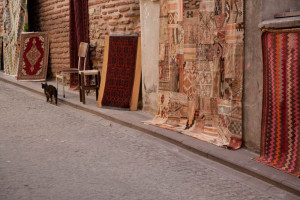 Copyright: Lena Schnabl